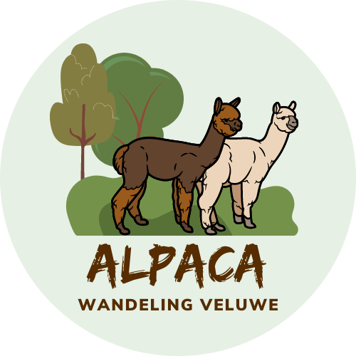 alpaca wandeling veluwe