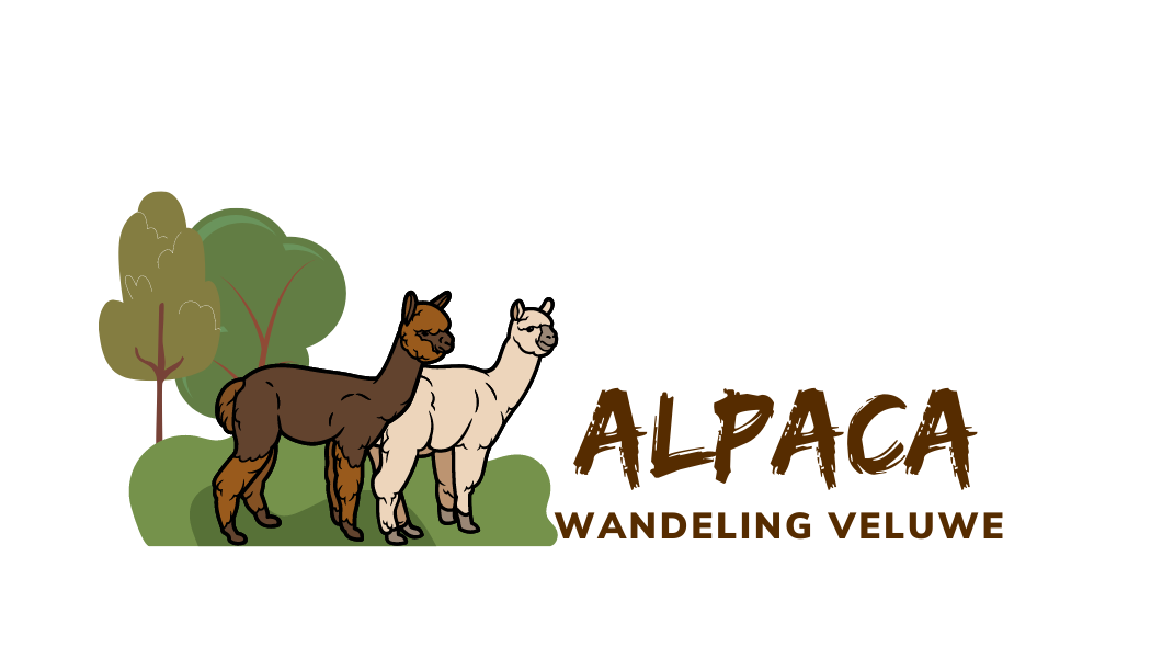 Alpaca Wandeling Veluwe